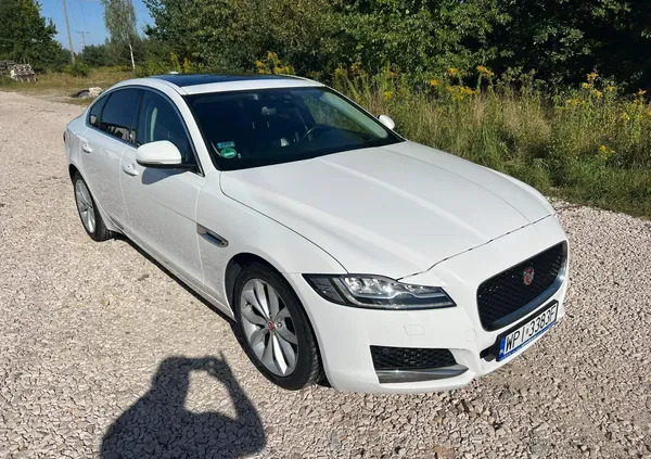 jaguar xf mazowieckie Jaguar XF cena 77000 przebieg: 132000, rok produkcji 2017 z Chocianów